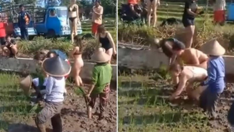 來亂嗎？　「比基尼辣妹」幫農民插秧挨批