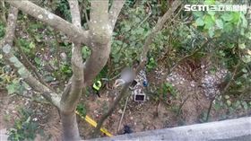 新北李翁因不明原因趴臥在公園路觀景台下方10公尺深的地面。（圖／翻攝畫面）