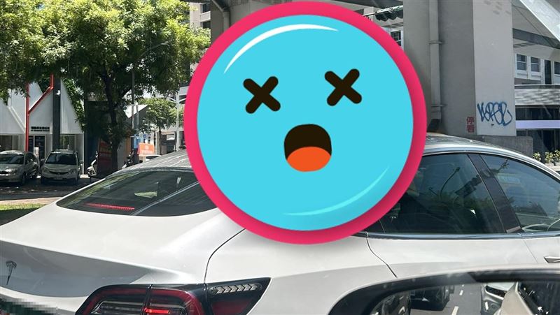 全景天窗凍未條！特斯拉車主1招超防曬