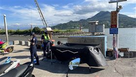 新北市,淡水,浮屍,紅樹林