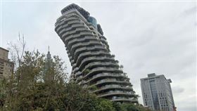 信義哥吉拉(翻攝自google map)