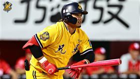 ▲蘇緯達再度上場代打，生涯第400場出賽。（圖／中信兄弟球團提供）