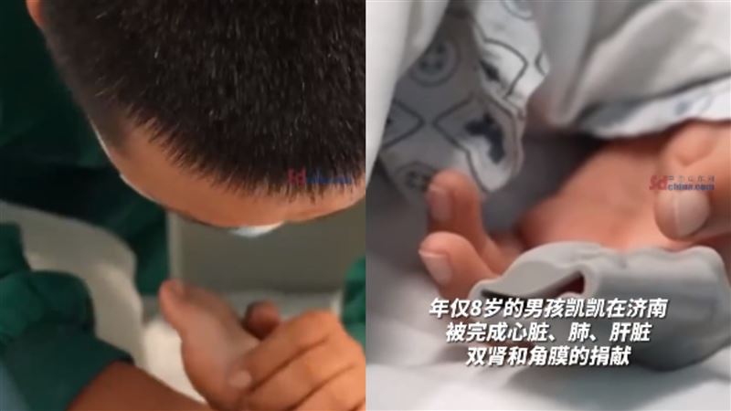 8歲男童捐器官救8人　父淚崩：他想當英雄