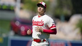 ▲大谷翔平爭奪戰又有球隊默默加入，光芒可能以「外卡」之姿投入競逐。（圖／美聯社／達志影像）

