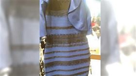 藍黑白金裙,錯覺,爭議,女婿,妻子,謀殺未遂