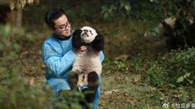 中國,熊貓,保育員,動物園,婚外情,
