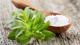 甜葉菊,認知功能,天然代糖,人工代糖,精製糖