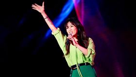 蔡健雅(臺南市政府觀光旅遊提供)
