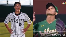 ▲藤浪晉太郎和橫田慎太郎是前隊友。（組合圖／翻攝自阪神虎官網、世界野球情報局推特）