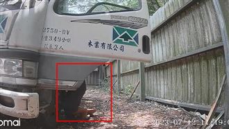 修車工爆頭慘死　愛女扮柯南追出真凶