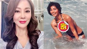 陳美鳳,比基尼,楊繡惠,丁寧,Gigi,林如琦,簡沛恩,吳申梅,梁佑南