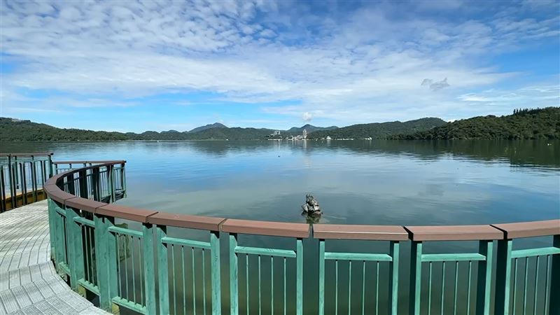 日月潭「巨魚吞九蛙」整尾魚體現形