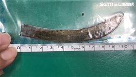 北市吳男持鐮刀在菜園揮砍高姓女友，最後雙雙負傷。（圖／翻攝畫面）