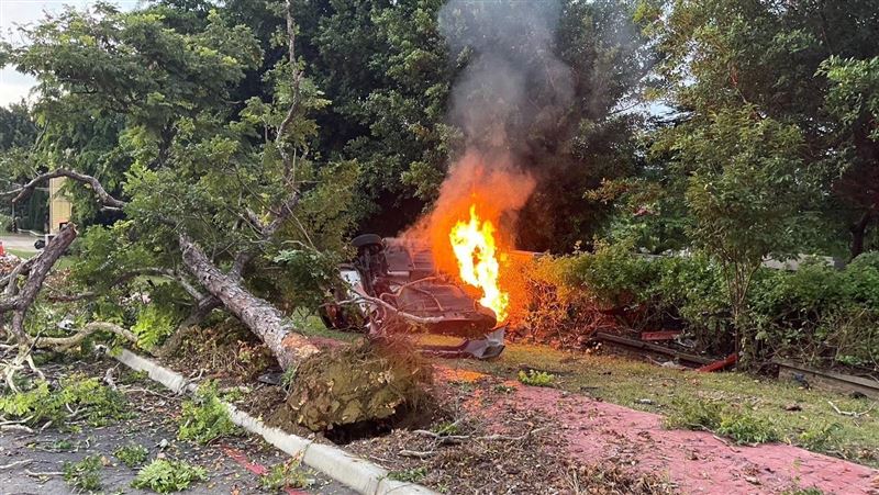 彰139線過彎失控撞樹狂燒　駕駛驚險逃生