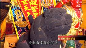 ▲黃虎爺為土地公的坐騎，黑虎爺為媽祖、保生大帝等神祇的坐騎。（圖／寶島神很大）