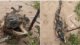 男子在海灘上發現謎樣屍體。（圖／翻攝臉書）