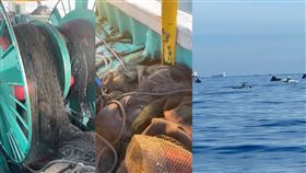 天使輪,貨櫃輪,沉沒,漂流,貨櫃,漁網