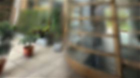 孤獨死,淡水,新北,男子,社區,中山北路一段