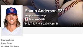 ▲Shaun Anderson。（圖／截自小聯盟官網）