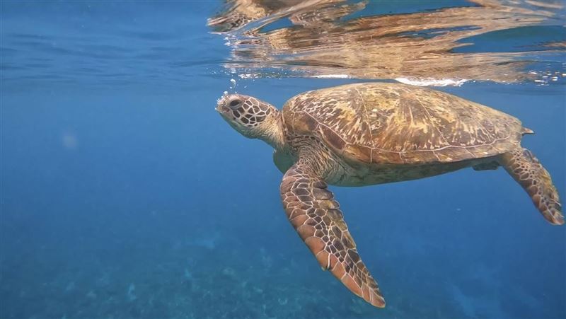 高鐵「旅遊聯票」自由配！車票再享7折起