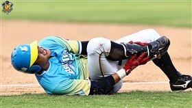 中信兄弟內野手岳東華跑壘時腳踝大扭、痛苦倒地傷退。（圖／中信兄弟提供）