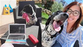 「亞歷媽」王君萍　麥坤　（圖／翻攝自IG）