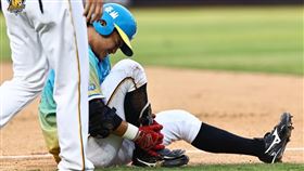 ▲岳東華右腳踝傷初步判斷腳踝韌帶撕裂傷。（圖／中信兄弟球團提供）