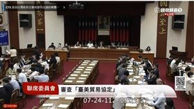 立法院臨時會今（24）日多個委員會聯席審查台美21世紀貿易倡議首批協定。（圖／翻攝國會頻道）