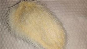 （圖／翻攝自微博）