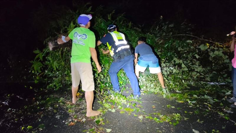 龍潭山區大雨路樹倒　暖警1舉動網讚爆