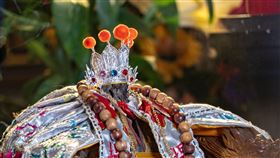 ▲原先是珊瑚礁，後被做為藥引。