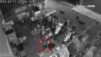 獨／十數隻野狗深夜出沒　咬死浪貓、家禽