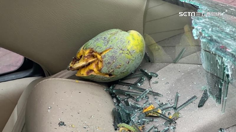 天降「巨芒果」　砸破擋風玻璃、車頂凹陷