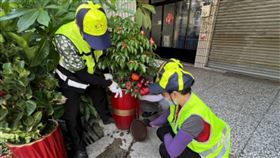 台中加強登革熱防治  籲請民眾配合防治登革熱疫情蔓延，台中市近日卻有民眾不願配合消毒工作，衛生局人員依傳染病防治法開罰。圖為巡查人員將花盆底積水倒出，避免成為病媒蚊孳生源。（台中市政府提供）中央社記者趙麗妍傳真  112年7月24日