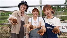 樂天女孩(三立新聞網提供)