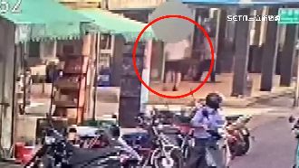 妙齡女領錢被熊抱　狼還裝熟「是我啊」