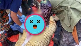 鄉民對鱷魚剖腹，取出邦沙的遺體。（翻自dailyexpress.com.my）