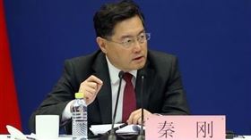 秦剛,王毅,傅曉田,婚外情,私生子