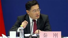 秦剛,王毅,傅曉田,婚外情,私生子