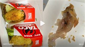 牛蛙,肯德基,寄生蟲