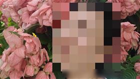 台中醫師娘，花蓮名店，一碗小，5歲童，炎上，(圖／翻攝自臉書)