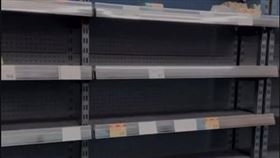 颱風,防颱,物資,杜蘇芮,全聯,搶購,台東（圖／翻攝畫面）