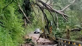 杜蘇芮颱風,高雄市政府,山區,行政區,停電,台電,桃源區