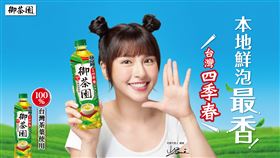 台灣四季春大戰　綠茶市場再掀熱潮（業配勿用）