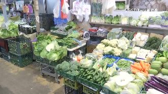 葉菜漲2-3成　根莖類擺C位「荷包避險區」