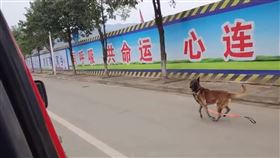 中國四川消防隊領犬員退役，搜救犬不捨。（圖／翻攝微博）