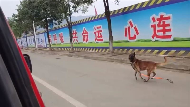 消防領犬員退役　搜救犬不捨追車1公里
