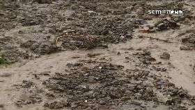 文 花磚場路坍1200