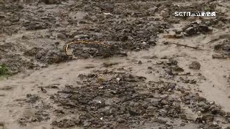 杜蘇芮發威！花蓮道路坍方、樹被連根拔起