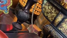 端午節,民俗專家,靈蛇,南投縣,天受宮,帝爺公蛇https://www.facebook.com/happy5088/videos/1051134959629459